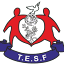 Icon of The Earth Saviours Foundation