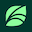 Icon of Spring Health